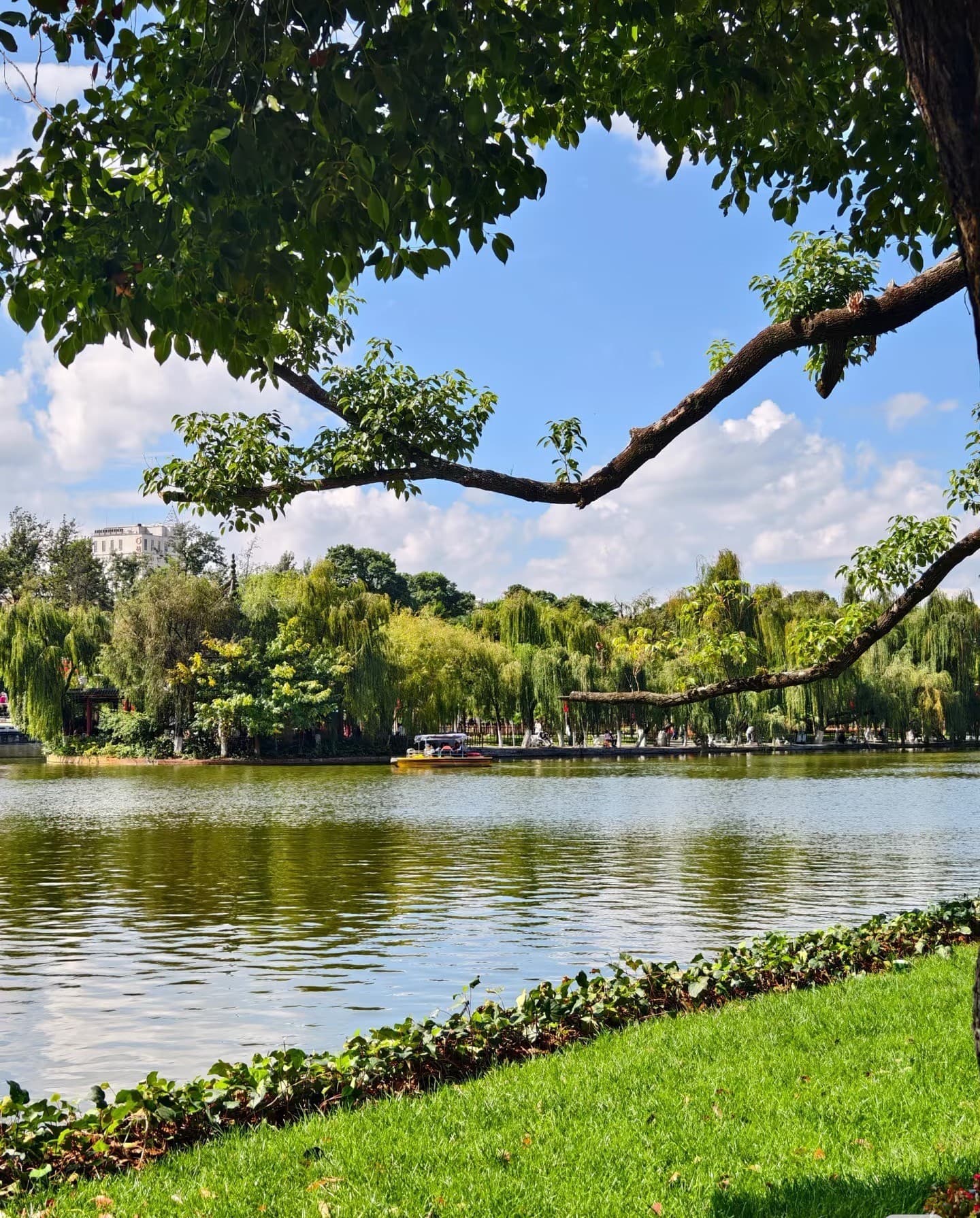 Green Lake Park & Kunming City Centre