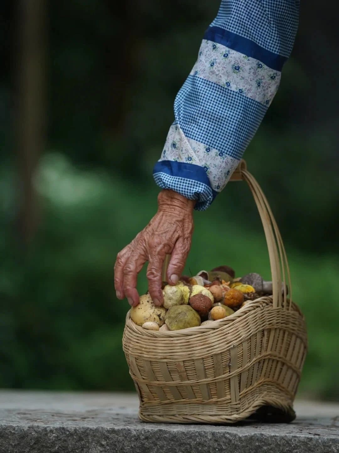 Yunnan Spring Markets — a woven basket filled with spring produce