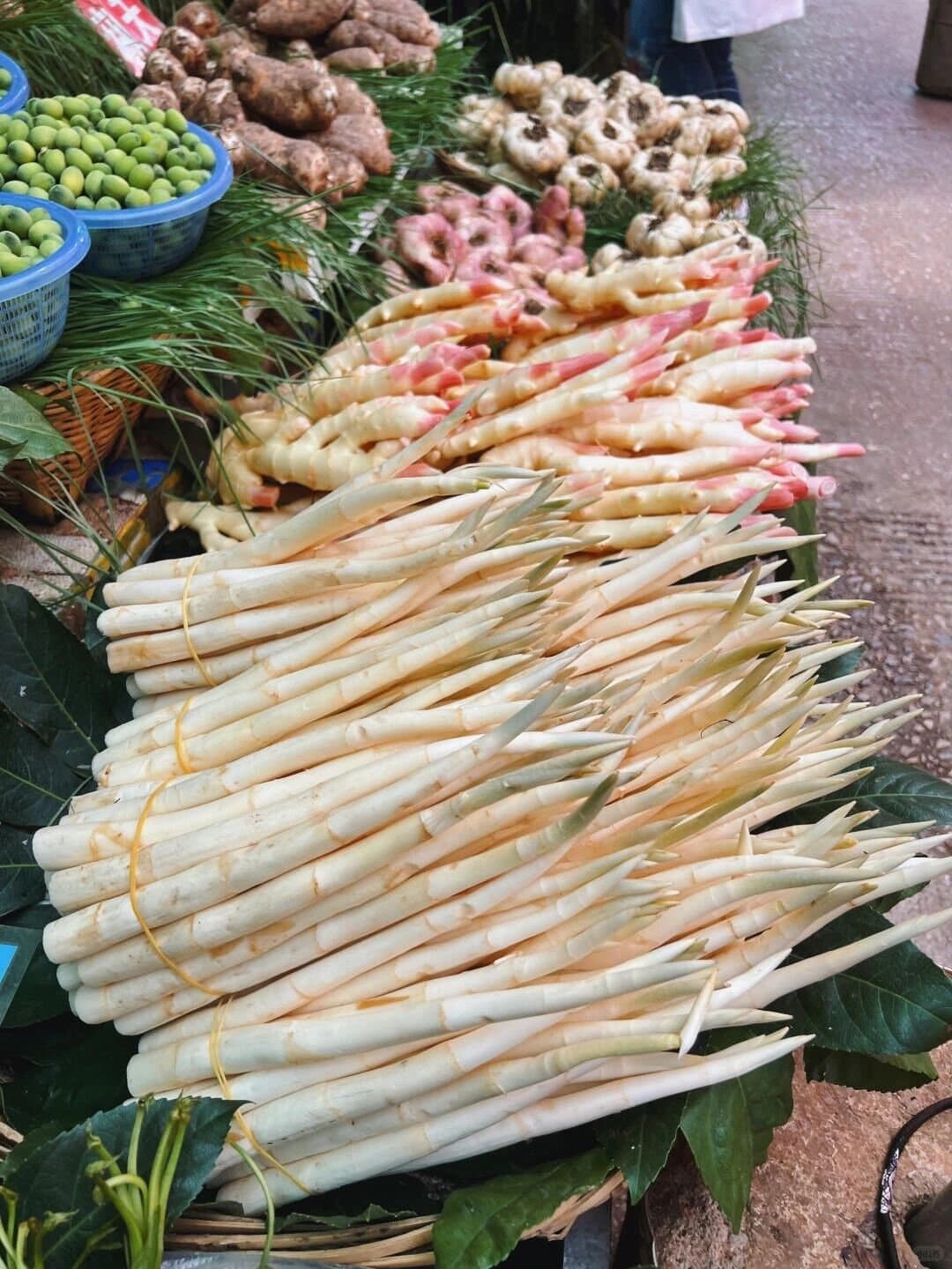Yunnan Spring Markets — bundles of tender spring shoots