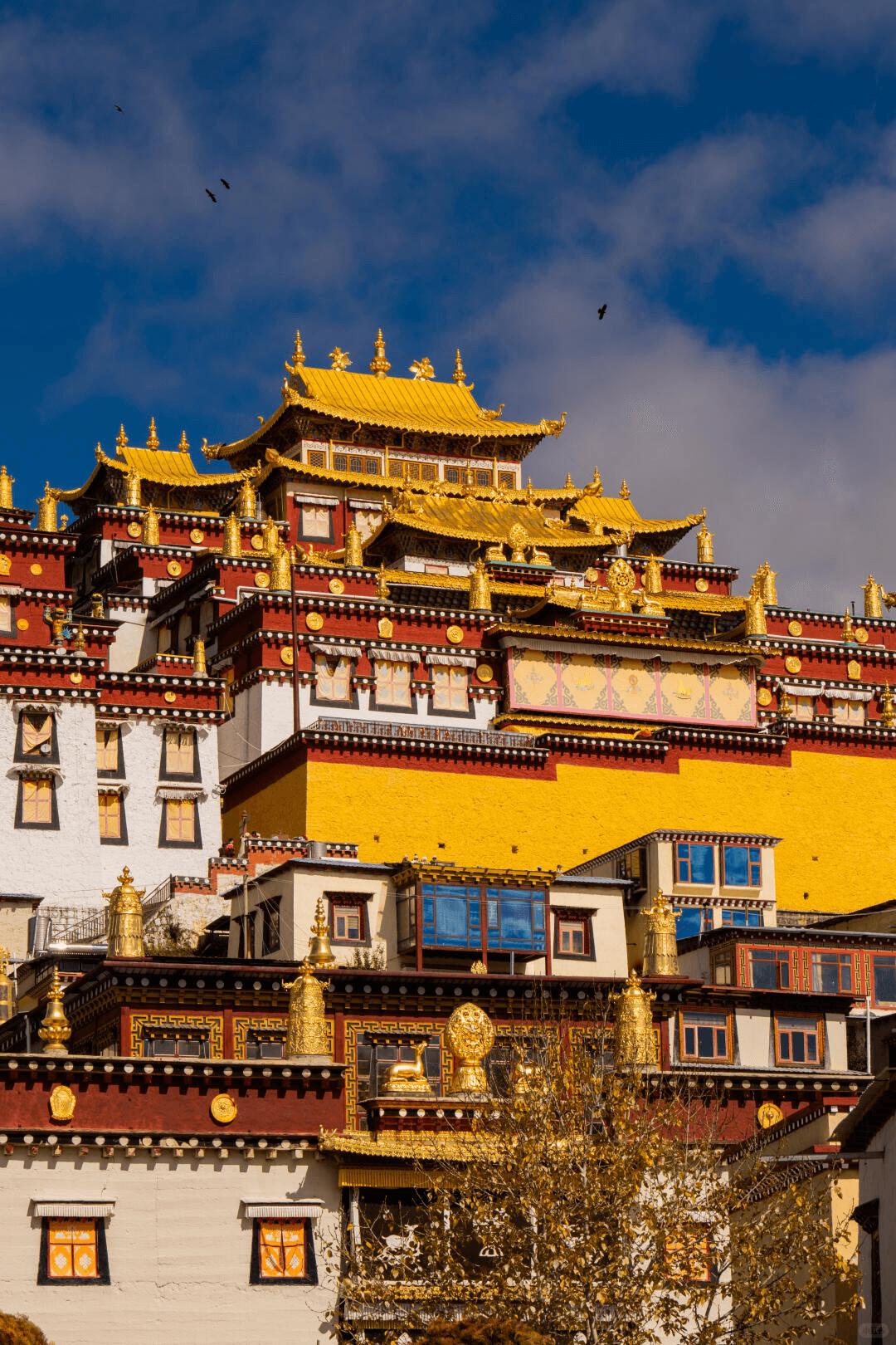 Ganden Sumtseling Monastery