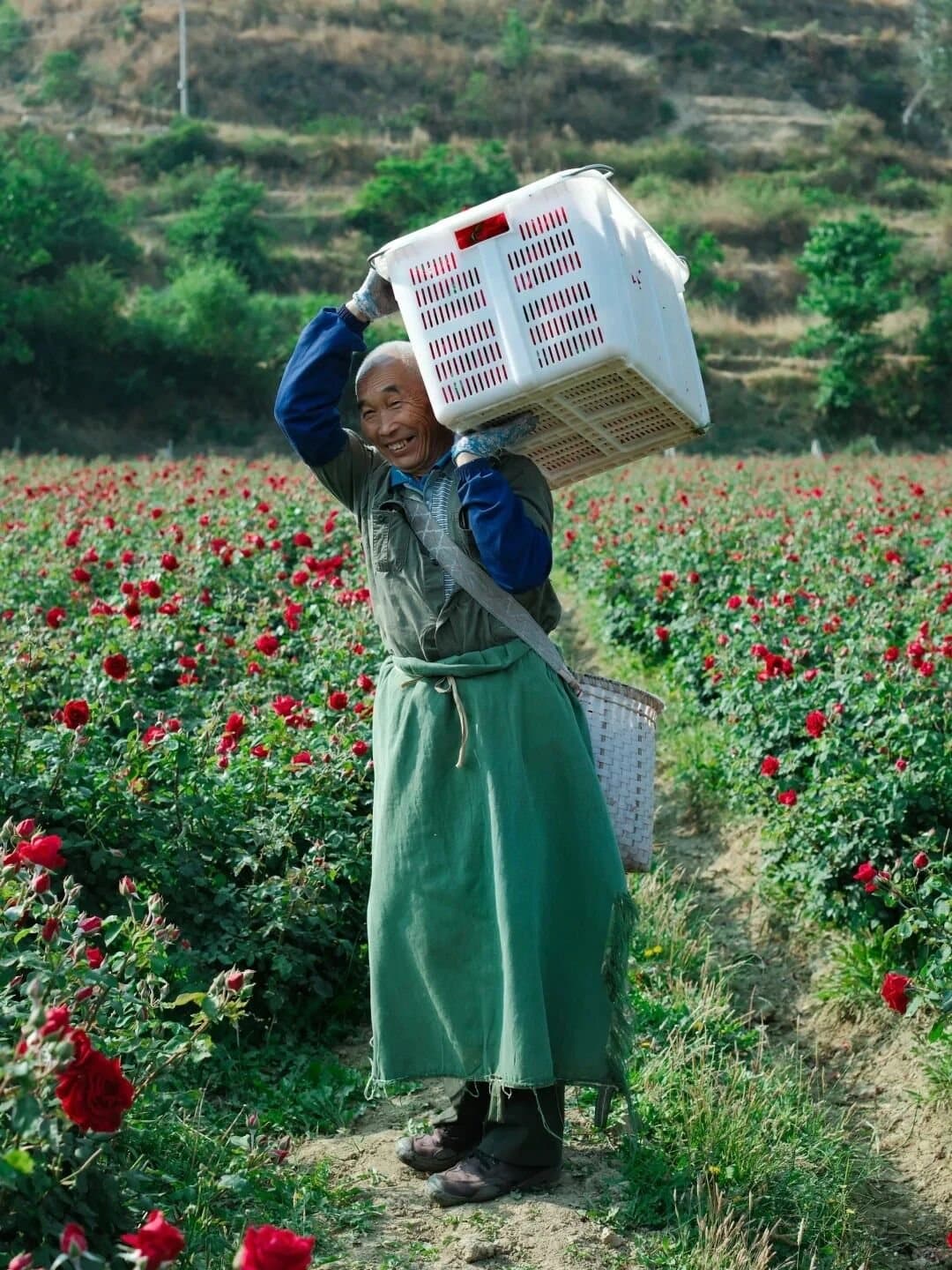 Yunnan Flower Pastry — a farmer carrying freshly picked edible roses
