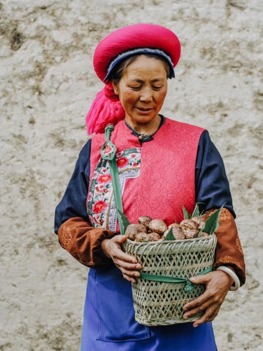 Matsutake in Shangri-La — a local forager carrying a basket of mushrooms