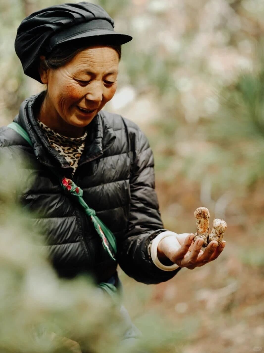 Matsutake in Shangri-La — a forager holding a freshly found matsutake