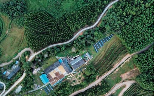 Yunnan Coffee Villages — an aerial view of coffee plots on a Yunnan hillside