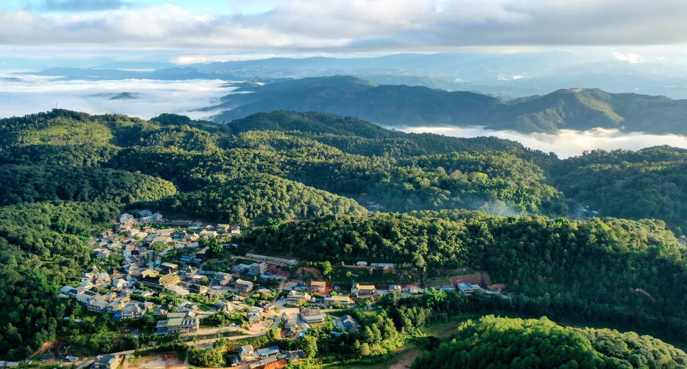 Ancient Tea Forests of Yunnan