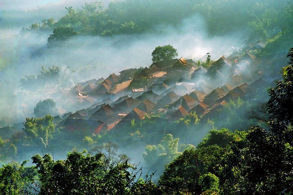 Ancient Tea Forests of Yunnan — rooftops rising through mist in an ancient tea landscape