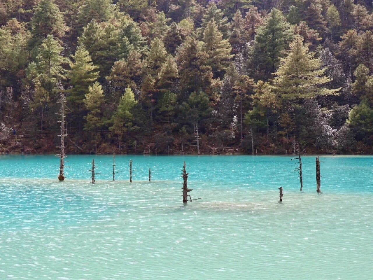 Blue Moon Valley: A Sapphire Beneath Jade Dragon Snow Mountain