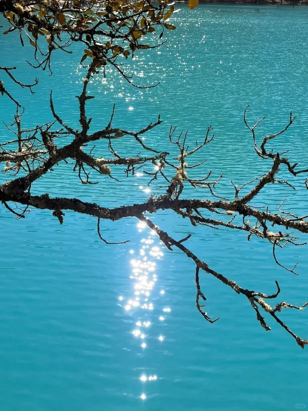 Blue Moon Valley — sunlight sparkling on turquoise water