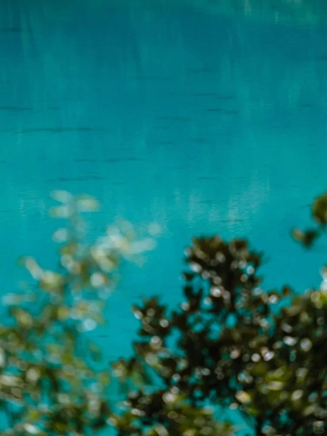 Blue Moon Valley — soft-focus foliage above a turquoise pool
