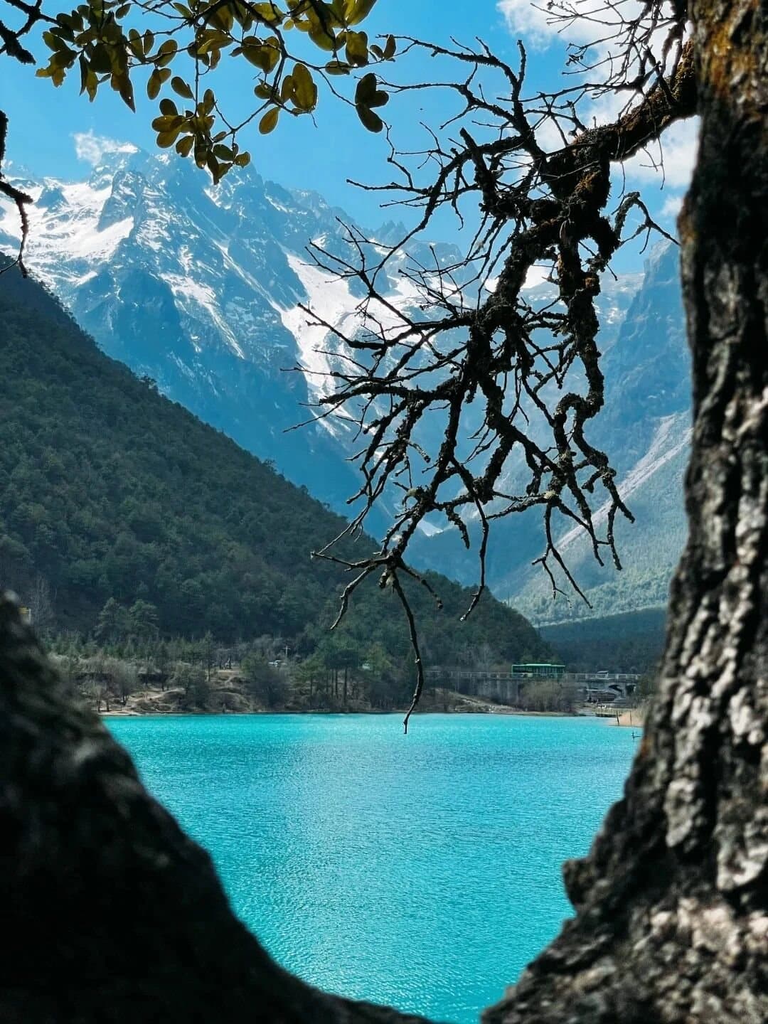 Blue Moon Valley — a tree framing the valley lake