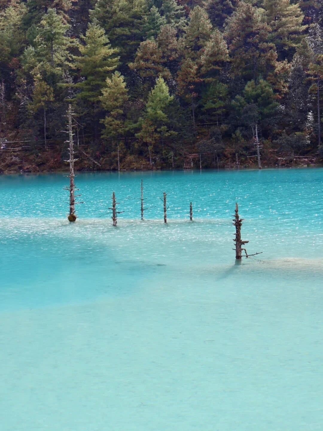 Blue Moon Valley — pale turquoise water and drowned tree trunks