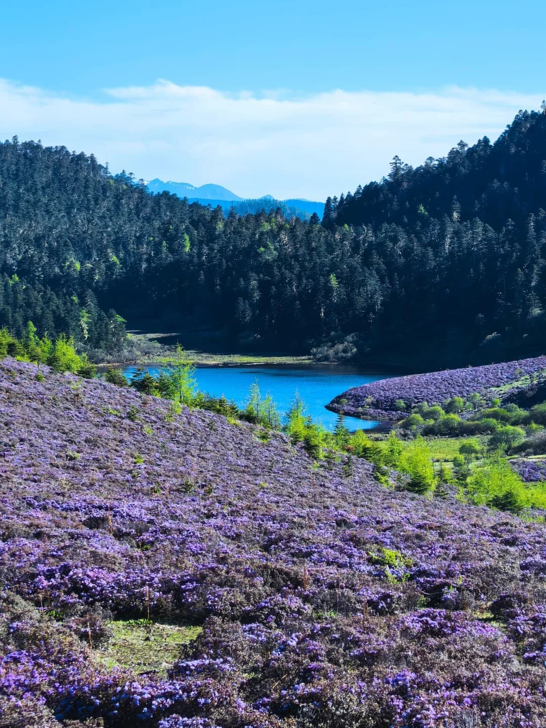 Niru Village Alpine Hiking Tour