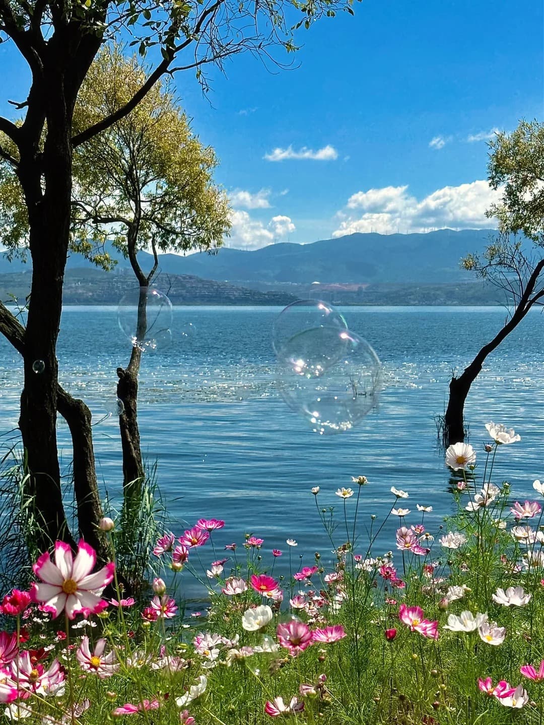 (Muslim-friendly )9-Day Kunming, Dali, Lijiang, Shangri-La & Najia Ying Tour